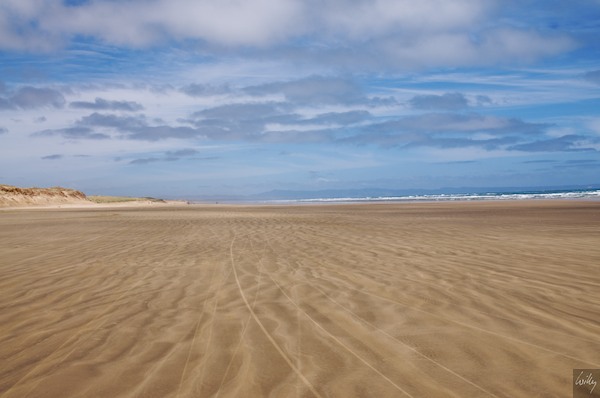 NewZealand 09 10  011